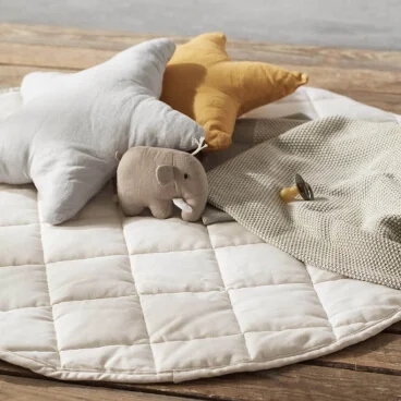 Organic Kids Brands